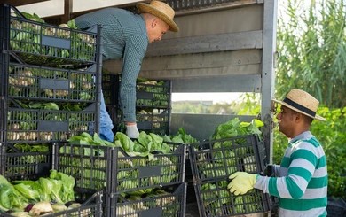 Livraison agricole