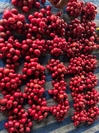 fruit rouge