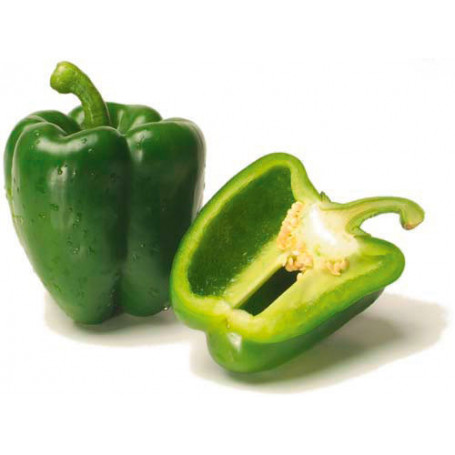 Poivron